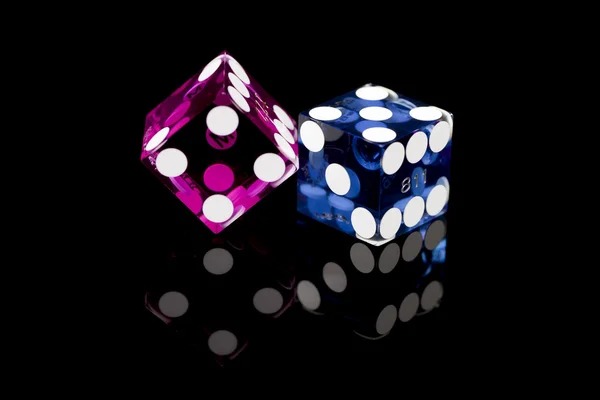 data kl What Makes Bingo Stand Out